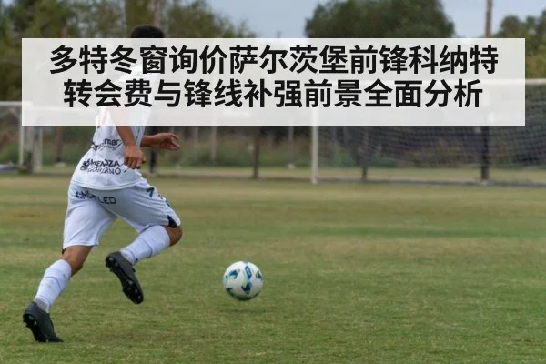 多特冬窗询价萨尔茨堡前锋科纳特转会费与锋线补强前景全面分析