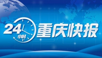 开云下载-26日龙兴看球指南丨23年他守着一山杜鹃花